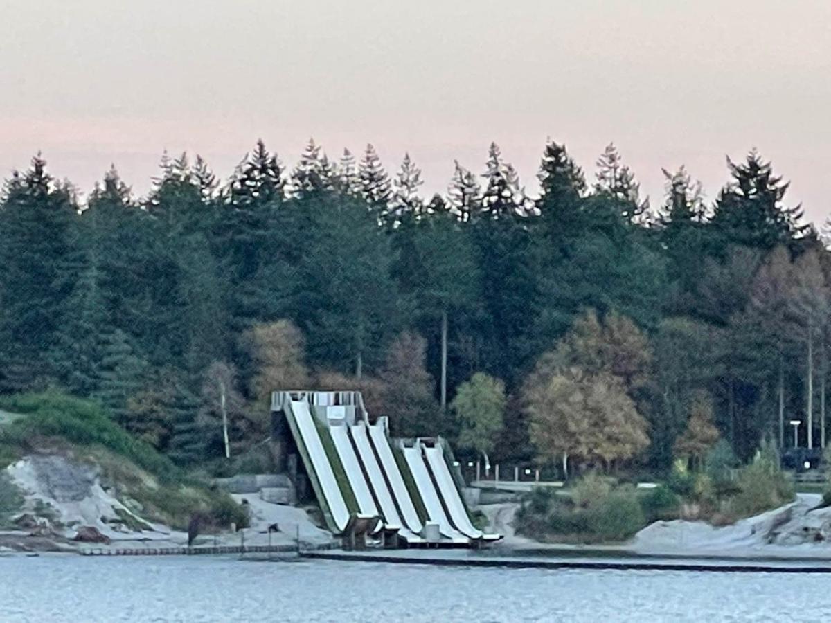 GasselteTofino, Een Comfortabel Vakantiehuis Naast Een Bos En Zwemmeer别墅 外观 照片